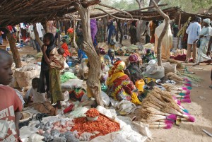 Scène de marché à Dogondoutchi